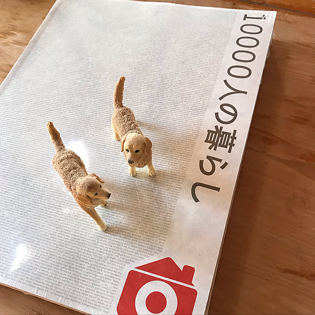 328さんの実例写真