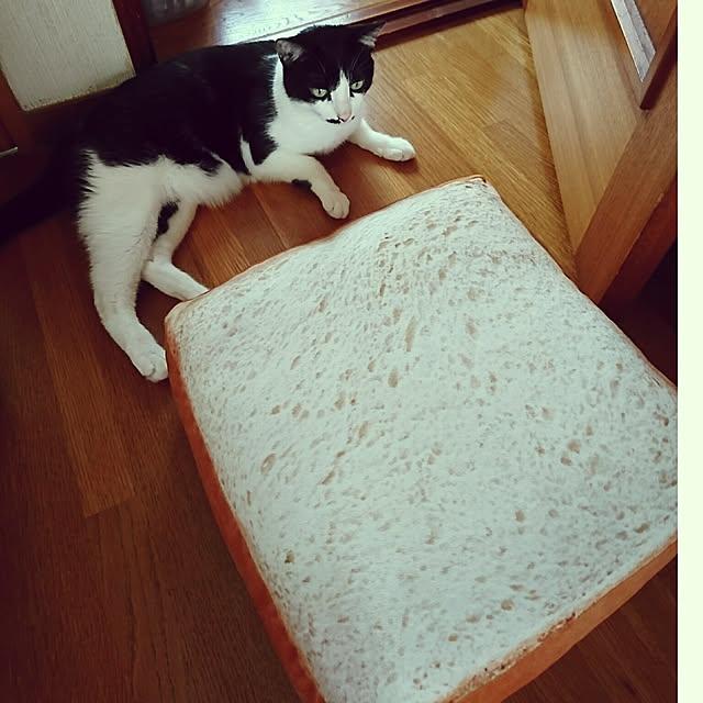 Mooさんの実例写真