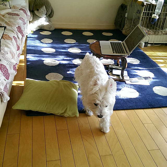 placeplusさんの実例写真