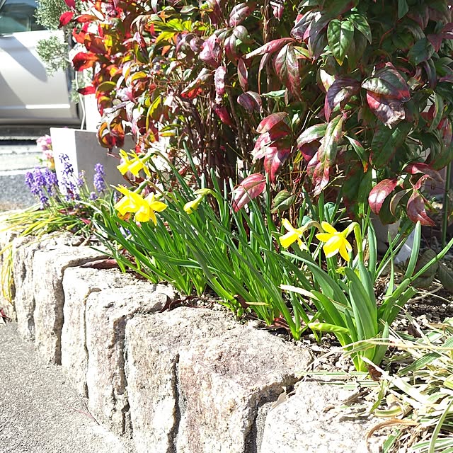 mutsuさんの部屋