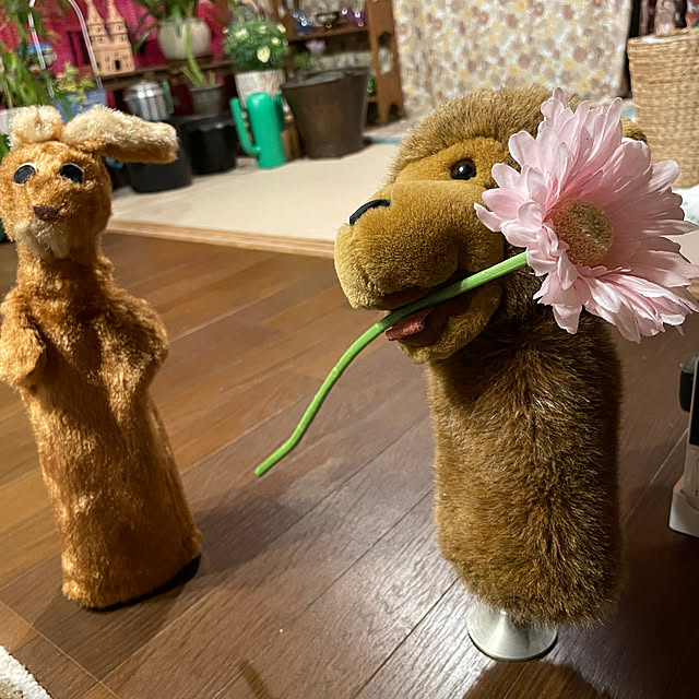 shin0719さんの実例写真