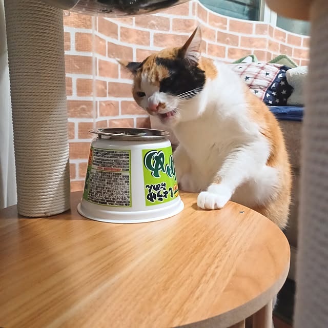 nanaさんの部屋