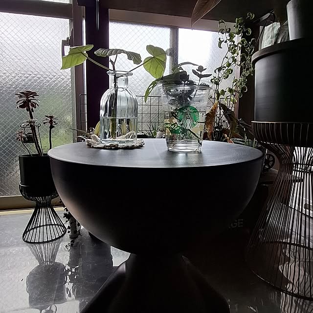 noaさんの部屋