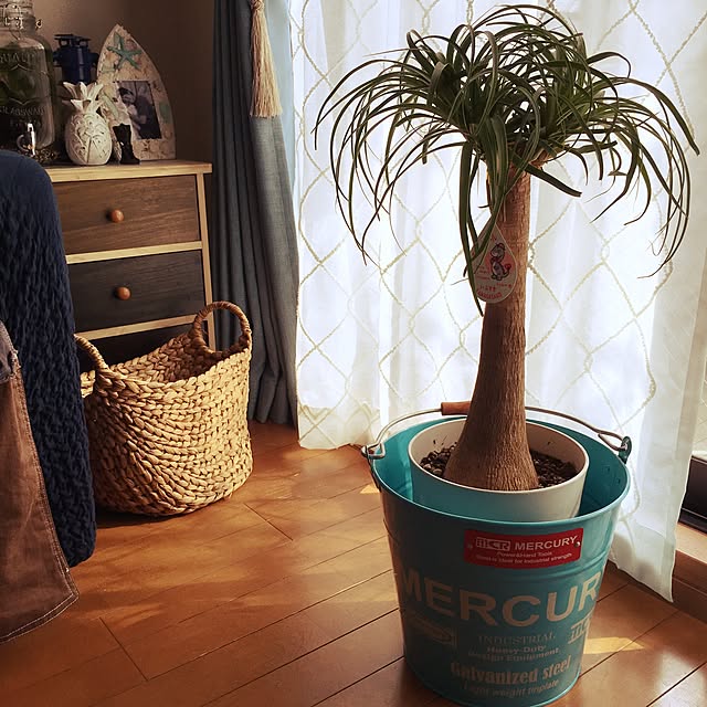 aohanaさんの実例写真
