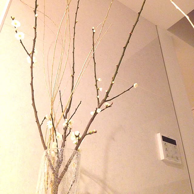 toocoさんの実例写真