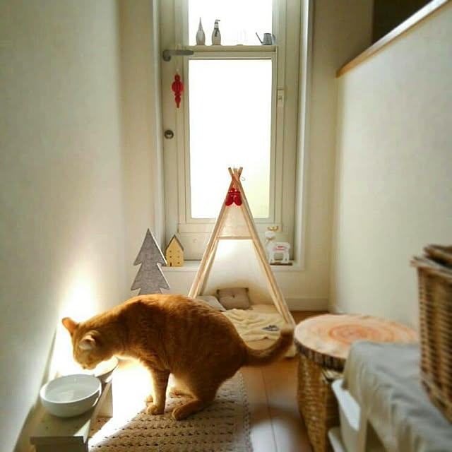 mayutan.さんの実例写真