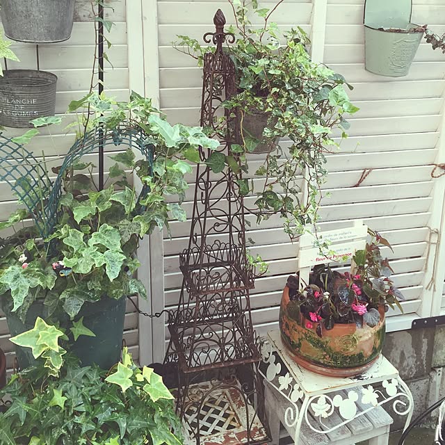 greenroseさんの実例写真