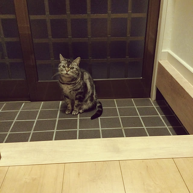 richanさんの実例写真