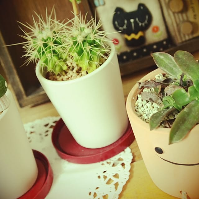 shoco0311さんの実例写真
