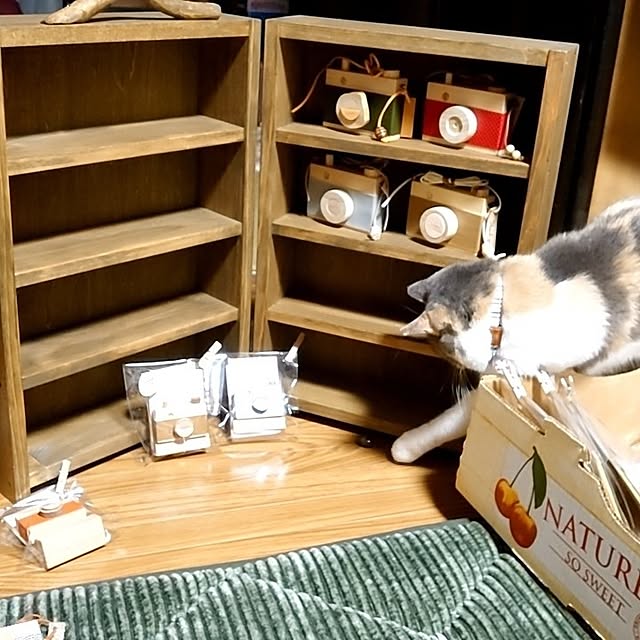 fukuさんの実例写真
