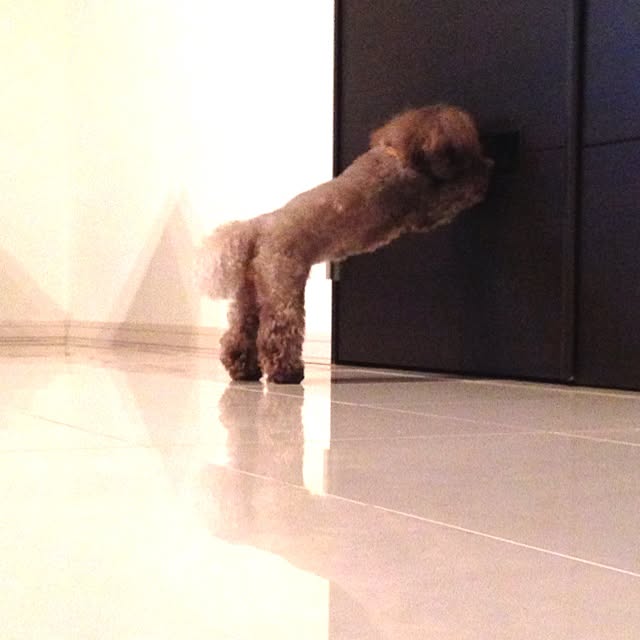 FXさんの実例写真