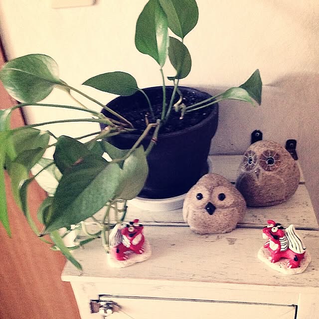 naokkoさんの実例写真
