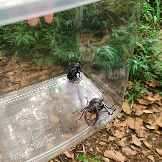 mihoさんの部屋