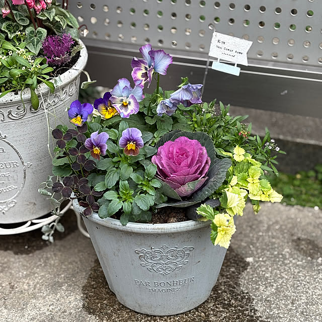 maayaさんの部屋