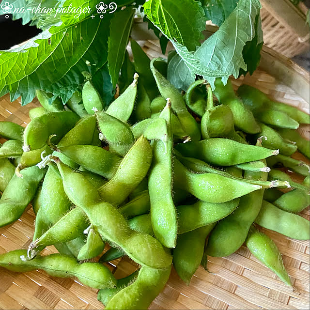 na-chanさんの部屋