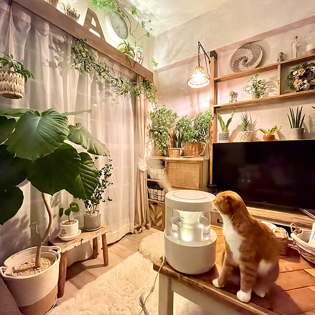 airararaさんの実例写真