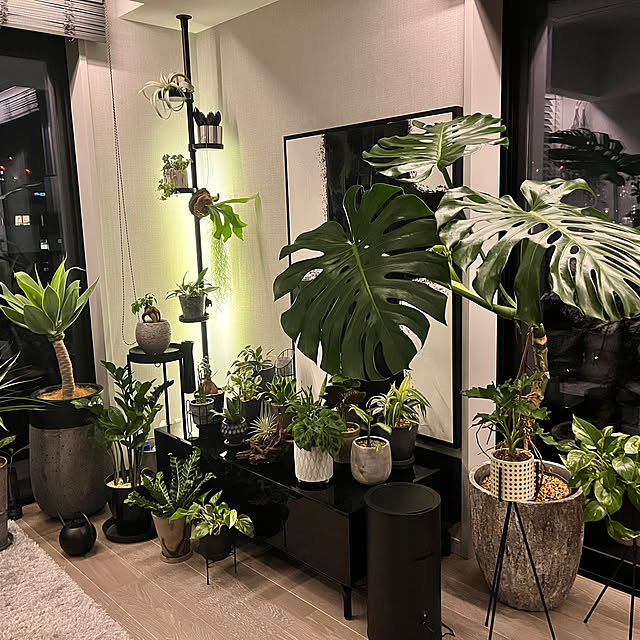 yu---さんの実例写真