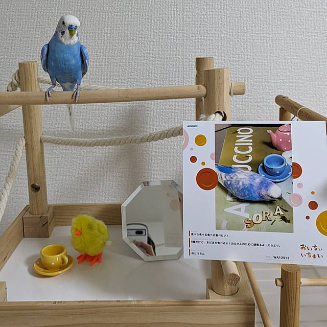 toratanさんの実例写真