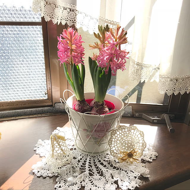 miporinさんの実例写真