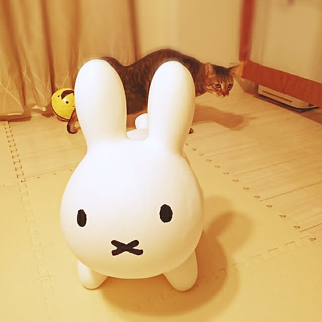 hal-cr556さんの実例写真