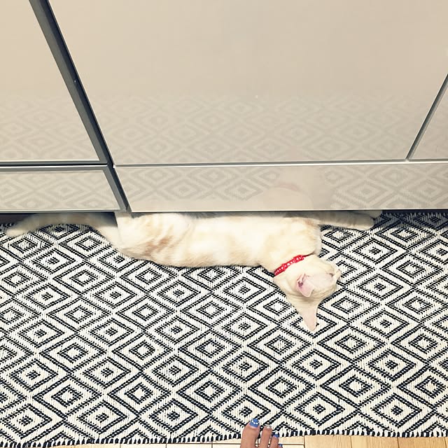hiyupan88さんの実例写真