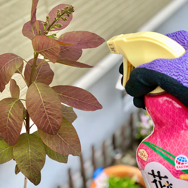 Junさんの部屋