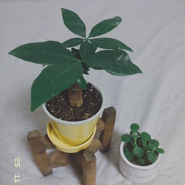 Champonさんの実例写真