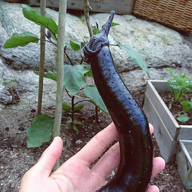 weさんの実例写真