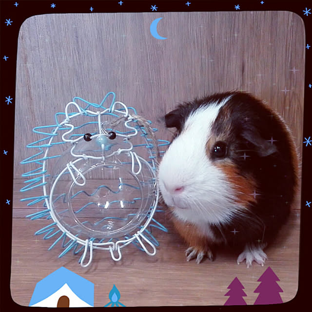 J.BOYさんの実例写真