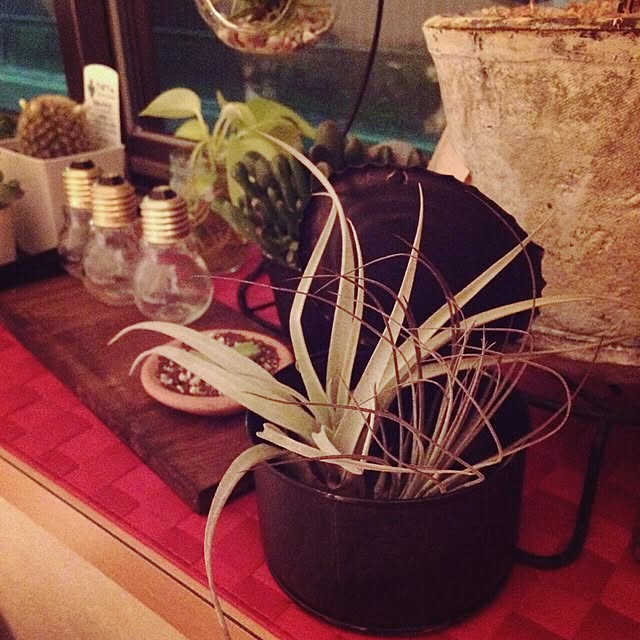 panchanさんの実例写真