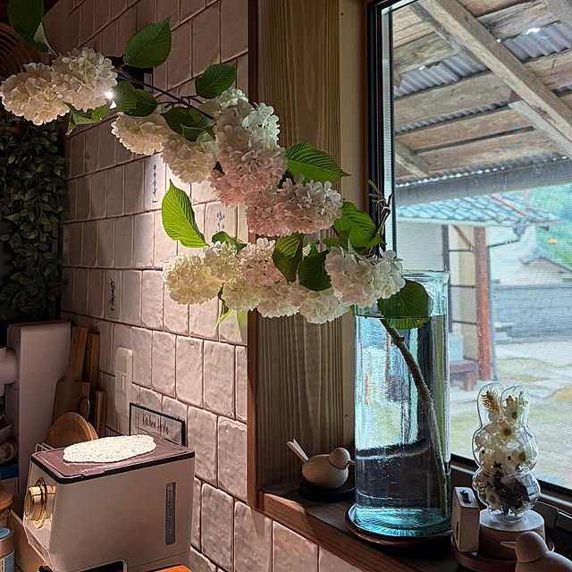 cotaさんの部屋