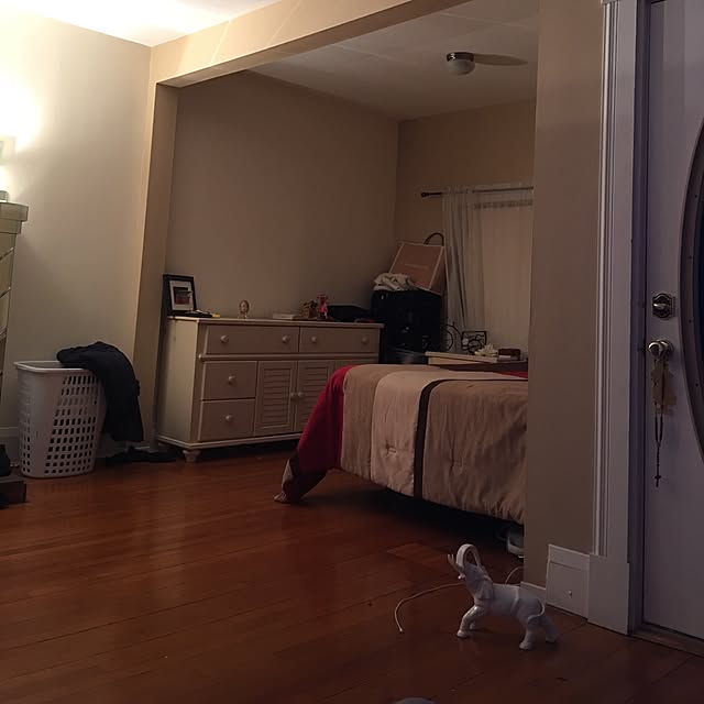 Alexさんの実例写真