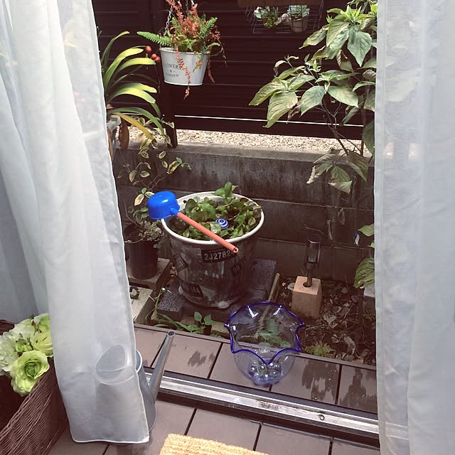 chacoさんの実例写真