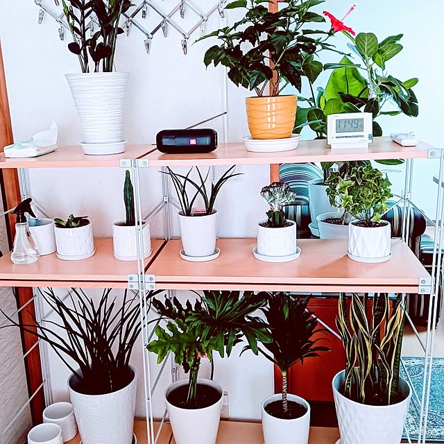 hanachanさんの部屋