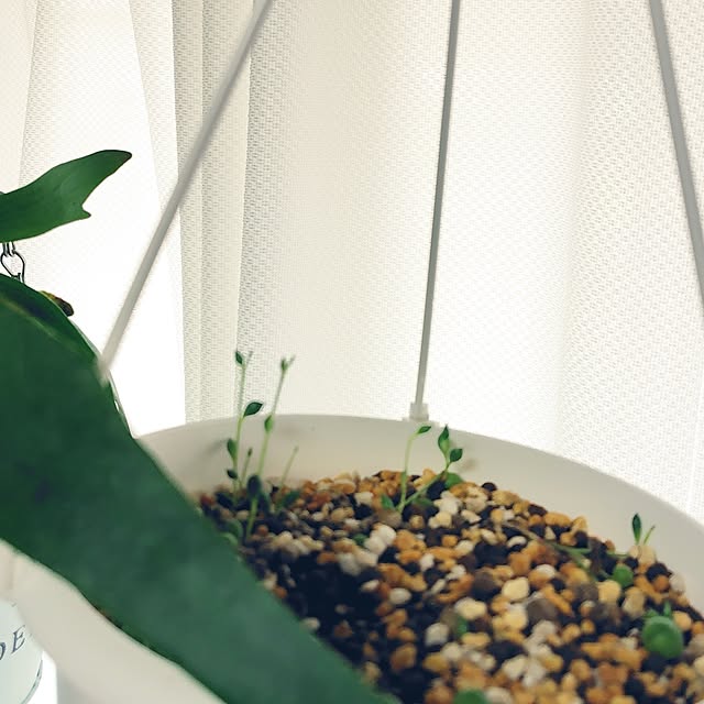 nachiさんの部屋