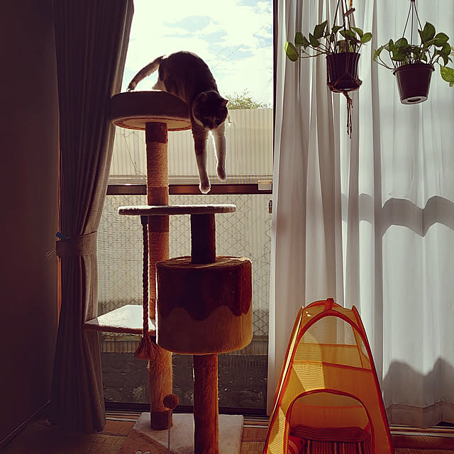 fukuさんの実例写真