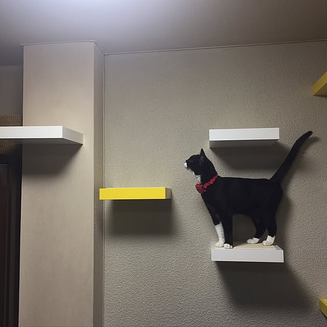 mtkさんの実例写真