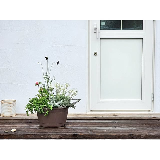 chiii13さんの実例写真