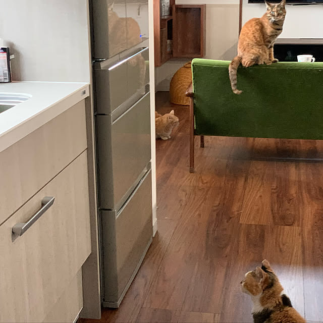 mikeume7さんの実例写真