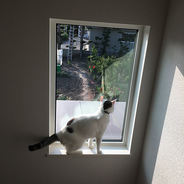 nnkttoさんの実例写真
