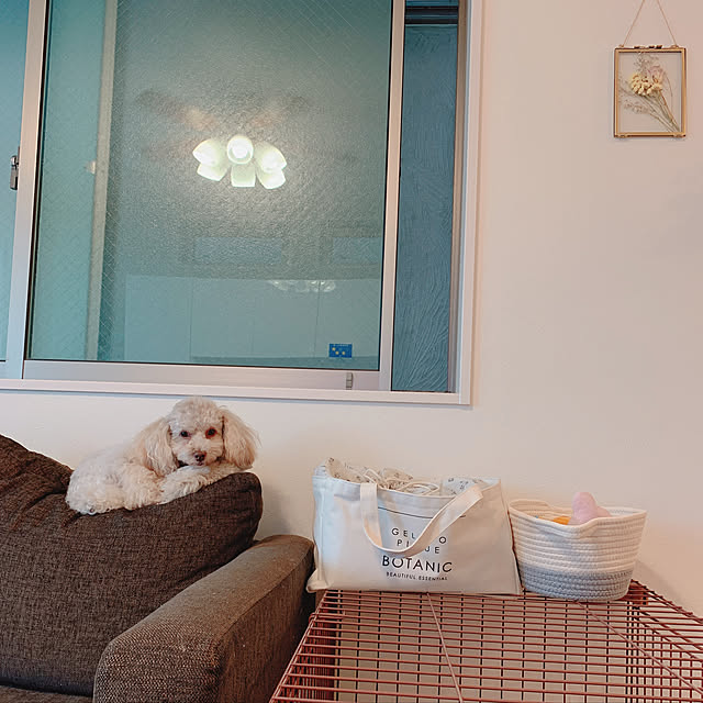 Nicolaさんの実例写真