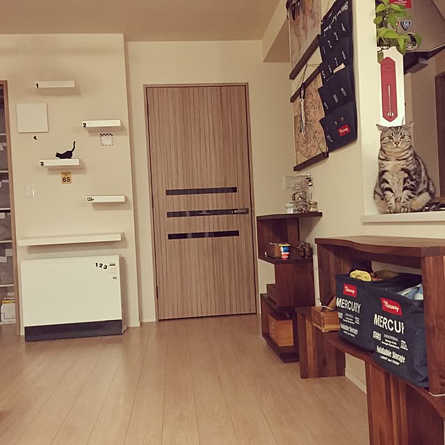 y.k.0123さんの実例写真