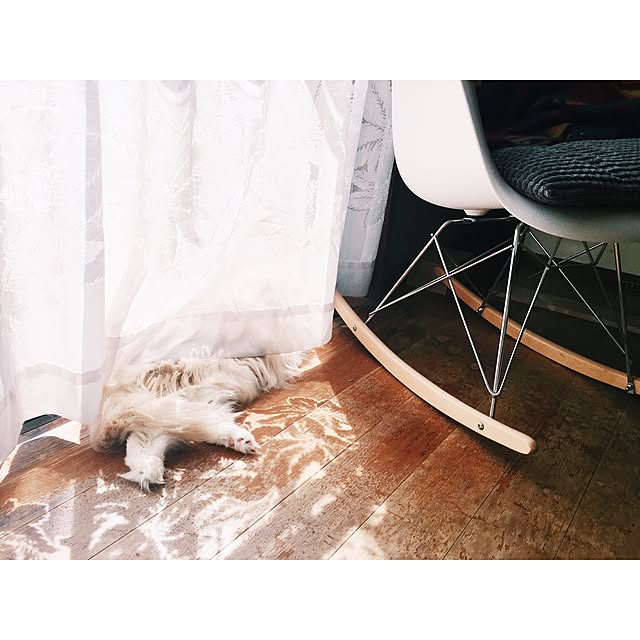 tttmmmrrrさんの実例写真