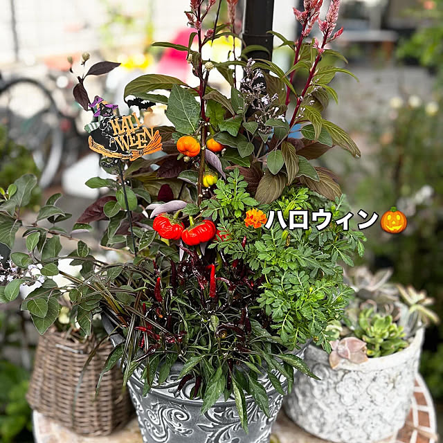 leonさんの部屋