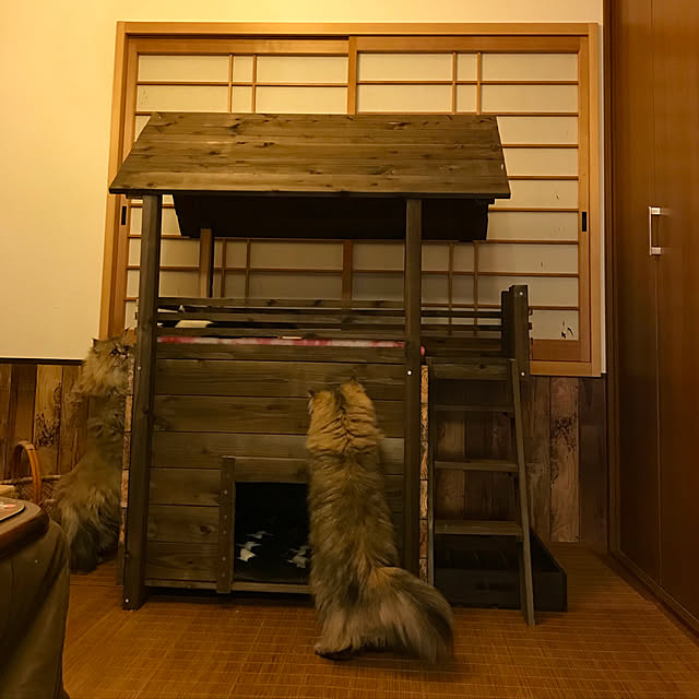 butachanさんの実例写真