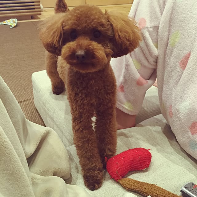 ramurin12130108さんの実例写真