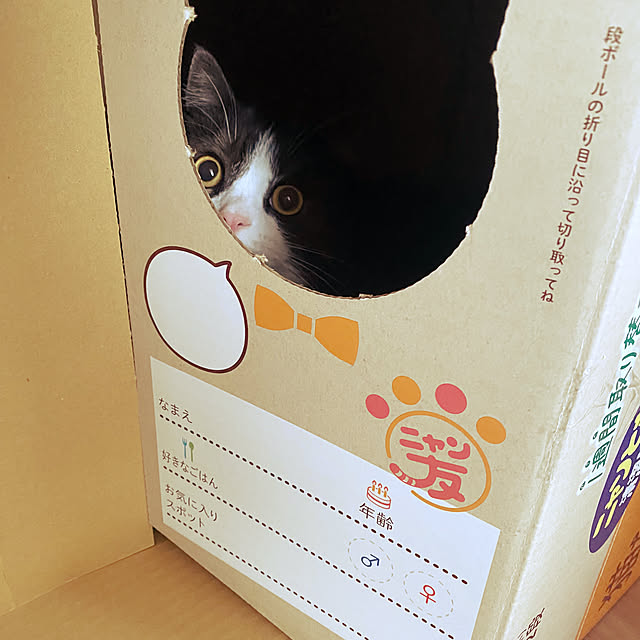 kuremaさんの実例写真