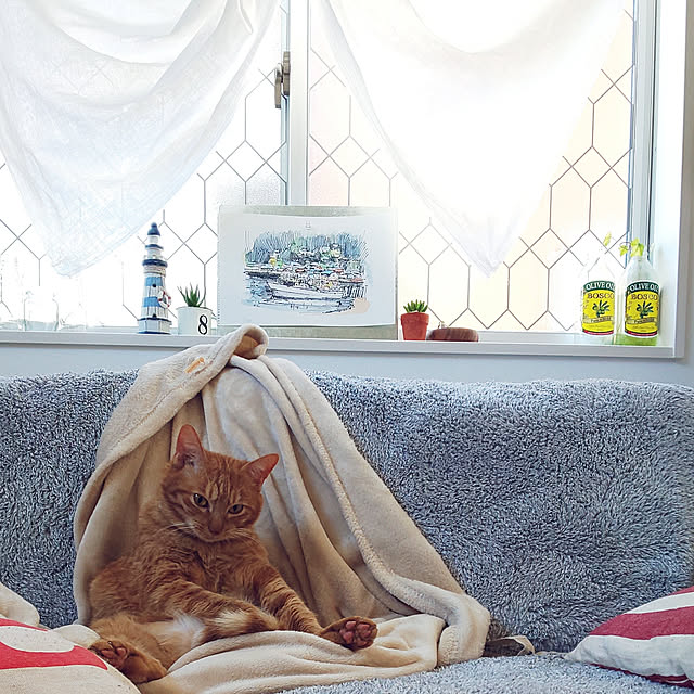 37さんの実例写真