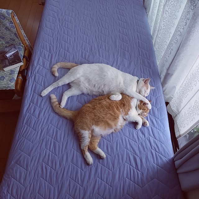 NOAHさんの部屋