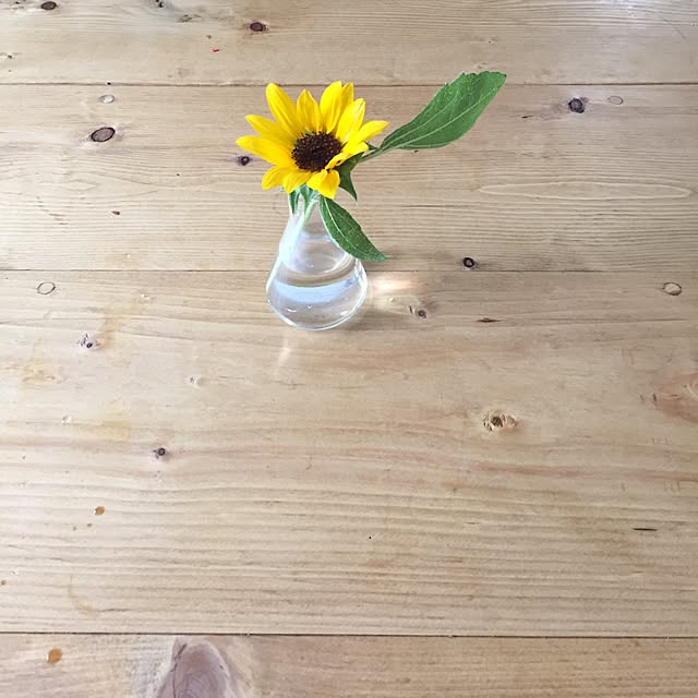 Akiさんの実例写真